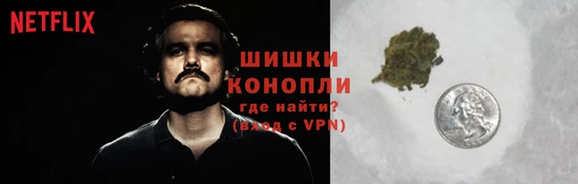 ALPHA PVP Верея