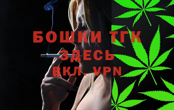 соль ск Верхний Тагил