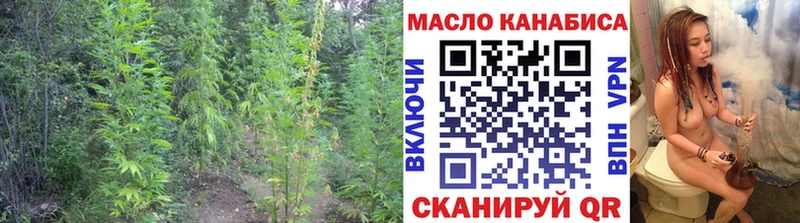 shop как зайти Донецк Дистиллят ТГК концентрат